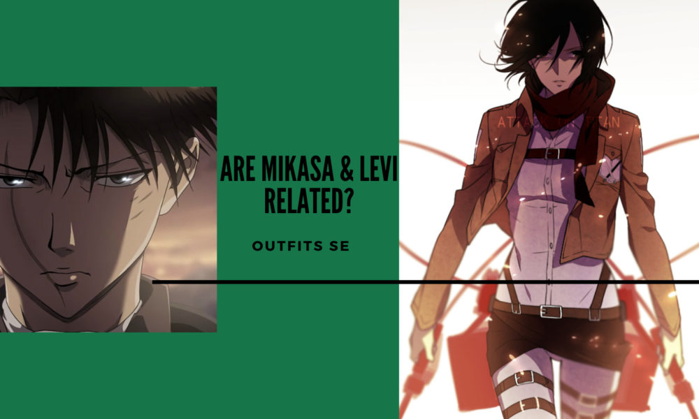 Høflig Land med statsborgerskab Settle Are Levi and Mikasa Related: 10 Important Facts | Outfits.se